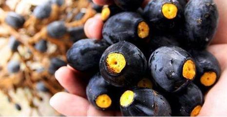 这种水果长得像黑炭,至少长20年才能结果,200元一斤还被疯抢!